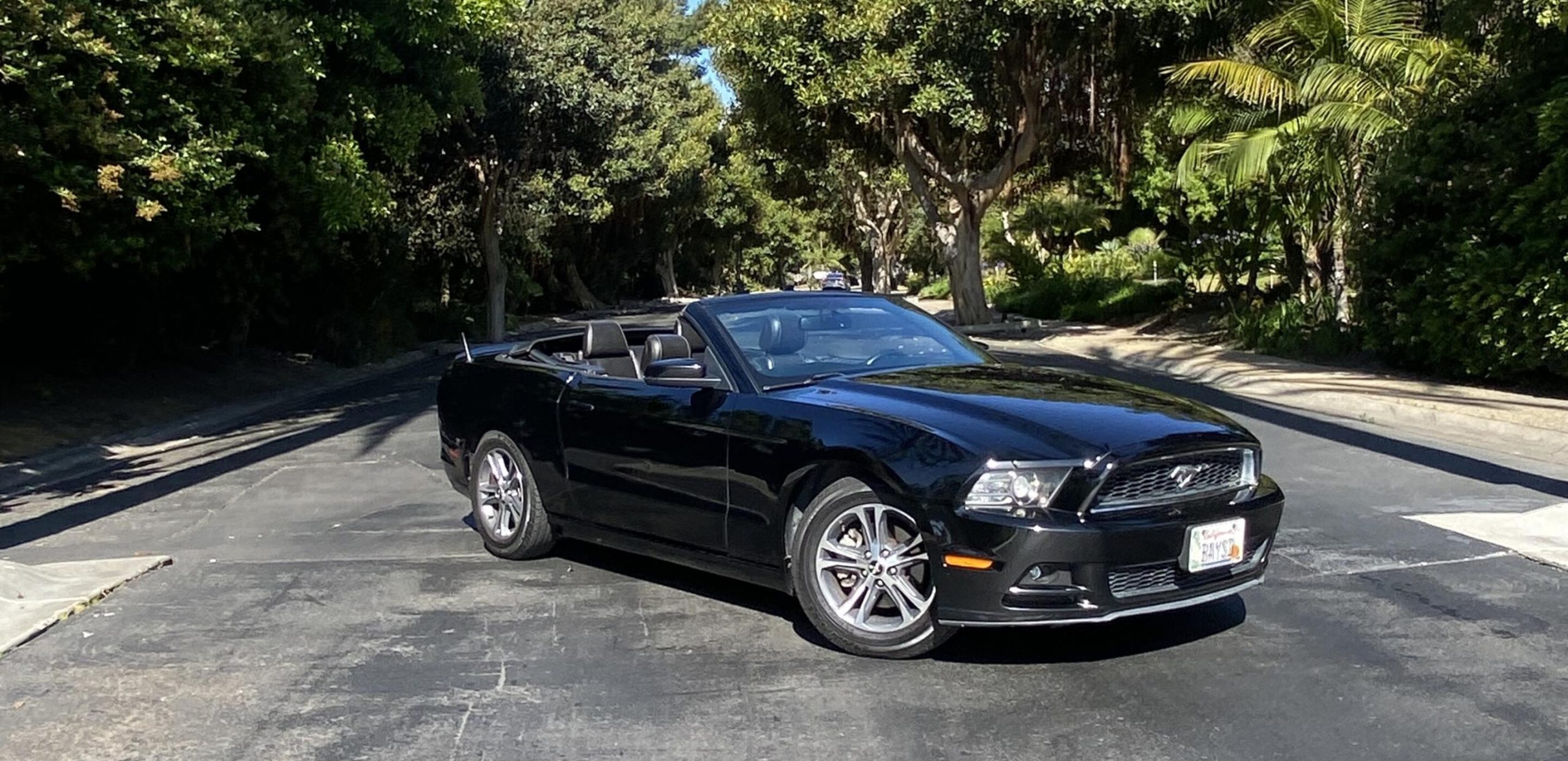 Ford Mustang 2014 for rent in San Diego Best Car Rental