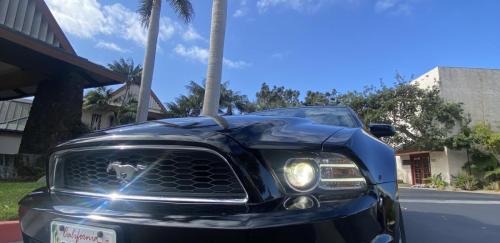 Ford-Mustang-2014-013